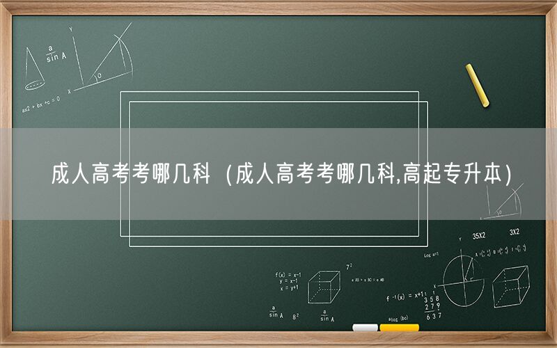 成人高考考试科目概览高起专升本
