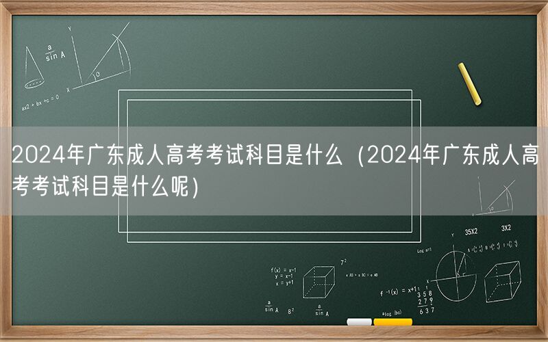 2024年广东成人高考考试科目详解