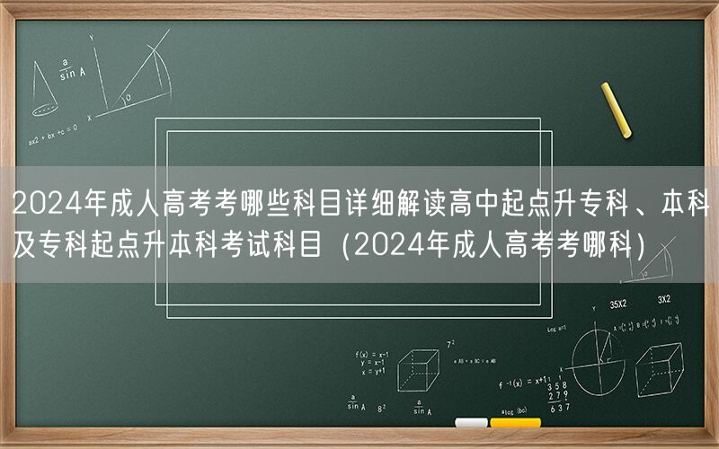 2024年成人高考科目详解：各层次考试科目一览