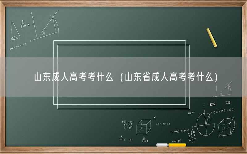 山东成人高考考试科目（山东省版）