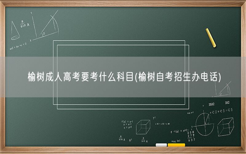 榆树成人高考科目及自考招生办电话